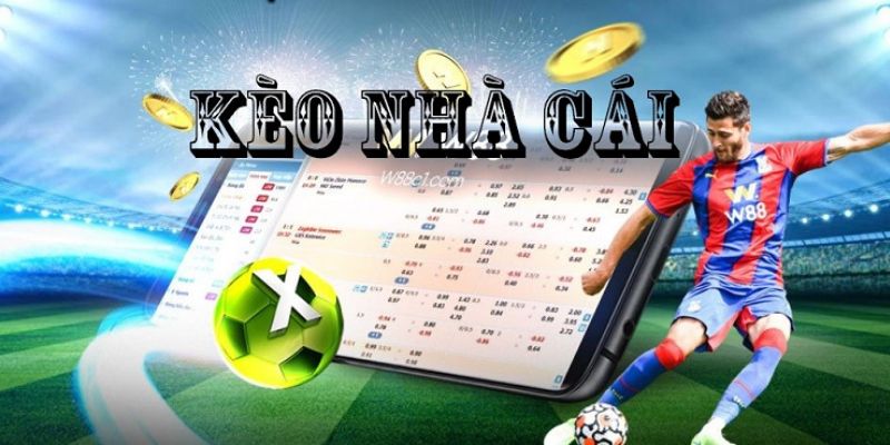 Các bước chơi kèo nhà cái từ A đến Z